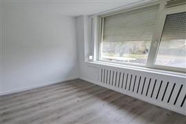 Studio Odiliadonk in Roosendaal