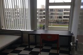 Kamer s-Gravensingel in Rotterdam