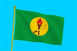 Vlag Zaïre 300x450 cm