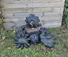 Skat F1 Patisson 250 zaden