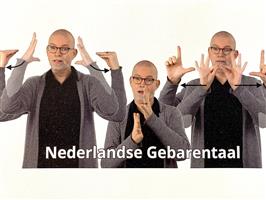  Leer Gebarentaal Online!