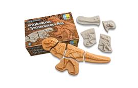 Dig and Discover - Ankylosaurus & Tyrannosaurus Rex