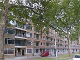 Kamer Mijnsherenlaan in Rotterdam