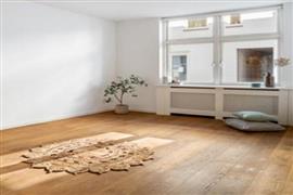 Appartement Westerbaenstraat in Den Haag