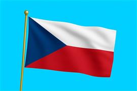 Vlag Tsjechië 300x450 cm