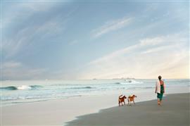 Neem je hond(en) mee op vakantie