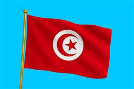 Vlag Tunesië 300x450 cm