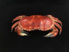 Een gietijzeren krab als een doos, sieradendoos, heel leuk!