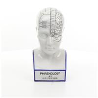 Een porseleinen phrenology hoofd in blauwe kleuring