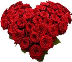 Woon je in Vianen of in de regio Vianen?