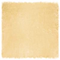 vidaXL Nepleer Schapenvacht Tapijt Crème 240 x 240 cm Polyester