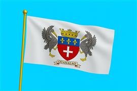 Vlag Saint-Barthélemy 300x450 cm