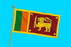 Vlag Sri Lanka 300x450 cm