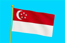 Vlag Singapore 300x450 cm