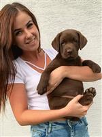 Single zoekt lieve eerlijke man