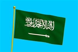 Vlag Saoedi-Arabië 300x450 cm