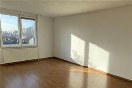 Appartement Kasteel Hillenraadweg in Maastricht