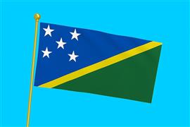 Vlag Salomonseilanden 300x450 cm