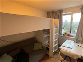 Kamer Van Heemskerckstraat in Groningen