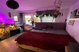 Kamer Coendersweg in Groningen