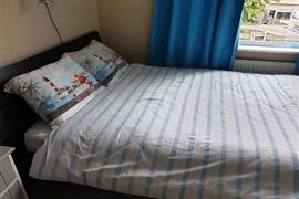 Kamer Theeroos in Rotterdam