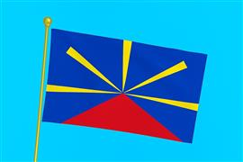 Vlag Réunion 300x450 cm