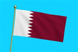 Vlag Qatar 300x450 cm