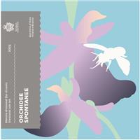 San Marino BU 2025 + 5 Euro