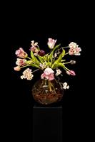 Kunstbloemen boeket - Trendy Glazen Vaas met Kunst tulpen – 60 cm Hoog | roze