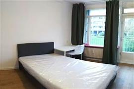 Kamer Joseph Haydnlaan in Leiden