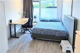 Studio Paardebloem in Rotterdam