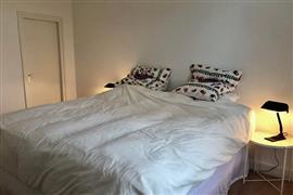 Appartement Professor Pieter Willemsstraat in Maastricht