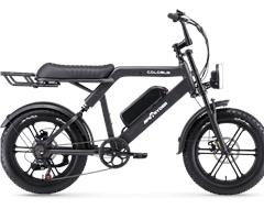 Ape Ryder Colobus Premium E-bike 