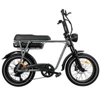 EB2 Pro – Fatbike – Grijs