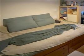 Kamer Zuider Parallelweg in Velp