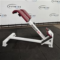 David 20 - Hyper Extension