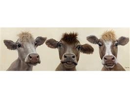 Olieverf schilderij koeien van Ter Halle