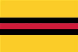 Vlag Woudenberg 300x450 cm