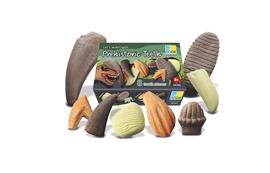 Lets investigate - prehistorie