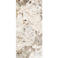 Vloertegel Douglas & Jones 120x280 cm Magnum Glans Tundra (Prijs per M2)