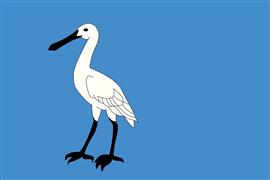 Vlag Wormerland 300x450 cm