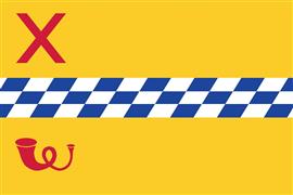 Vlag Woerden 300x450 cm