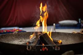 Online training sjamanisme