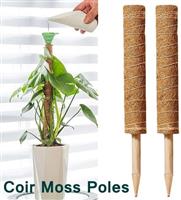 Mosstok Kokosstok planten totem 50 cm per stuk