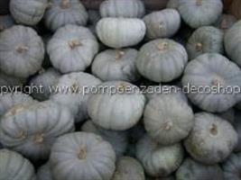 Crown Prince F1 pompoen 50 zaden