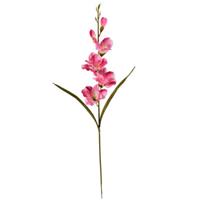 Gladiool Roze Zijdenbloem 60 cm per stuk
