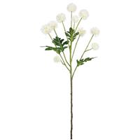 Pom Pom Ivory 61 cm per stuk