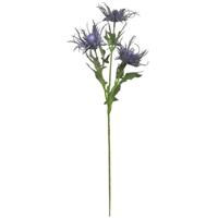 Eryngium Distel Blauw Zijdenbloem 67 cm per stuk