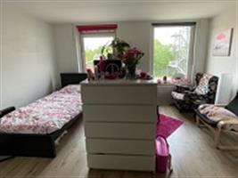 Studio Pelikaanstraat in Assen