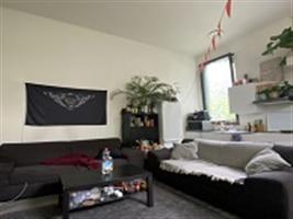 Studio Hofstraat in Groningen